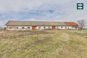 Proprietate industrială + Teren 8.632 - Voiteg - Județul Timiș - imagine 3