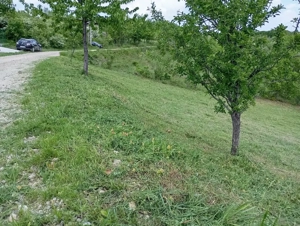 Teren intravilan  - imagine 5