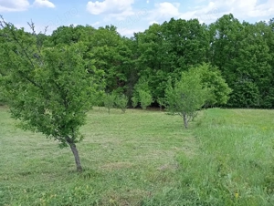 Teren intravilan  - imagine 3