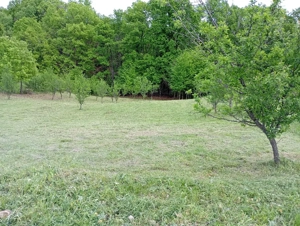 Teren intravilan  - imagine 4