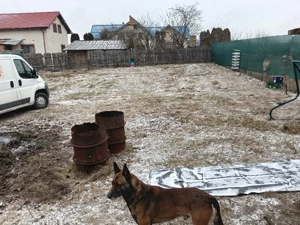 Teren de vânzare Calea Moldovei Nr 260 Lilieci 