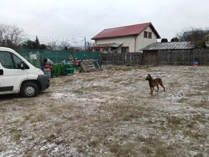 Teren de vânzare Calea Moldovei Nr 260 Lilieci  - imagine 7