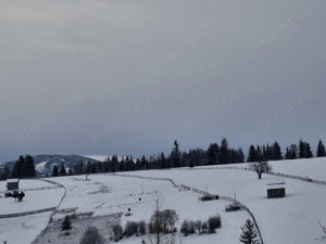 Cabana bustean lângă VatraDornei. Capacitate 10 12 persoane. - imagine 4