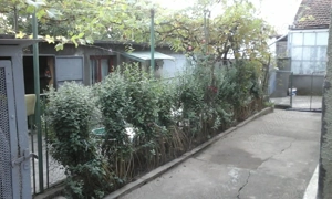 Casa de vanzare, la tara in Zagujeni, com C.tin Daicoviciu , jud Caras Severin - imagine 6