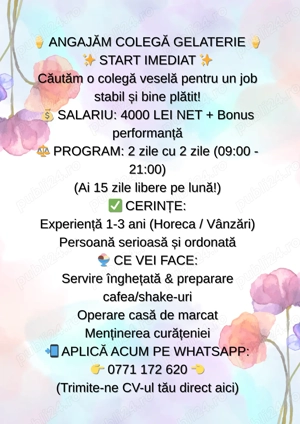 Angajam colegă GELATERIE, full time
