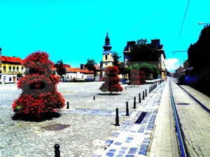 Casa individuala, 5 apartamente, 308 mp, zona Traian 