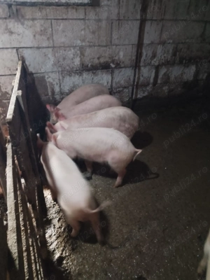 Mai multe detalii la telefon   - imagine 2