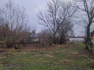 Casă veche cu teren generos – sat Mogoșești, com. Satu Lung | 18 ari - imagine 14