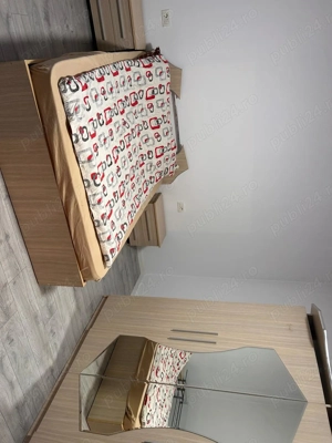De vânzare proprietate cu două case în aceeași curte   stil bănățean + Teren BONUS - imagine 4