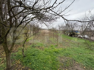 Casă deosebită cu teren generos – Bercu - imagine 3