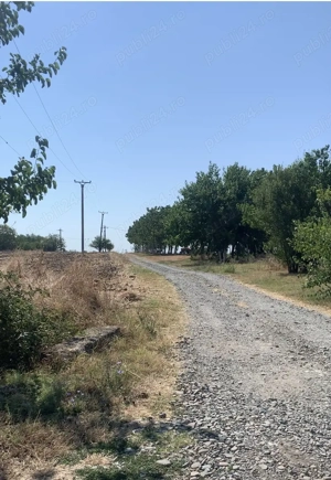 Super Ocazie: Vand teren Tăriceni, Jud. Călărași la doar 1,5 h de București 