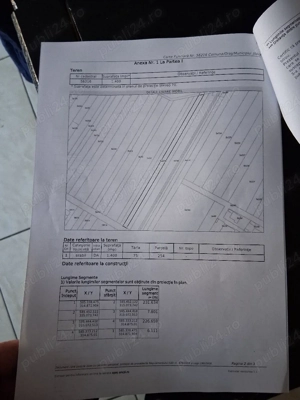 teren jilava steaua sudului  - imagine 5