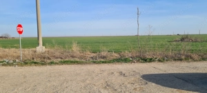 Teren intravilan 8000mp - imagine 5