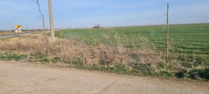 Teren intravilan 8000mp - imagine 4