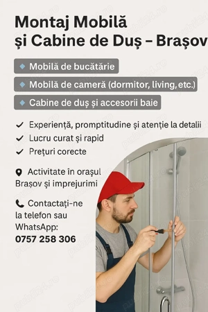 Monitor mobilier, obiecte sanitare ,Obiecte electrice .