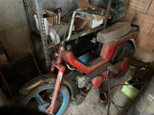 De vinzare toate la 2500