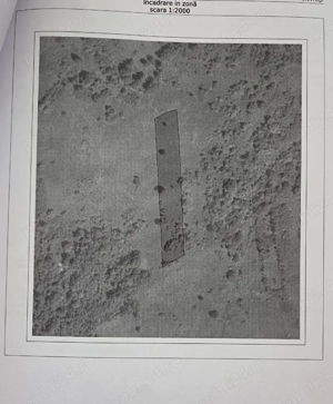 Vand teren extravilan Polovragi (Moiaga) - imagine 2