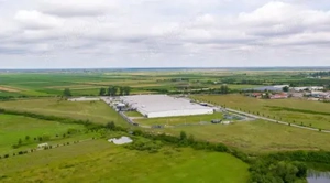 Platformă industrială   22.500 mp | Ineu, Arad - imagine 5