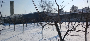 vind,inchiriez - imagine 4