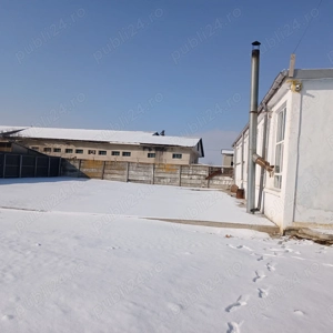 vind,inchiriez - imagine 8