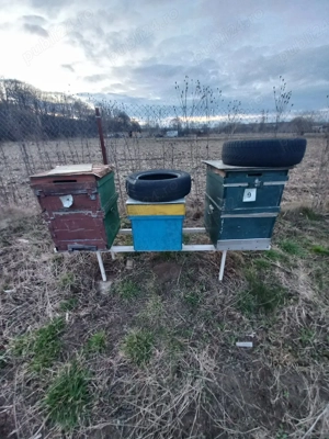 Cutii stupi verticale si orizontale - imagine 5