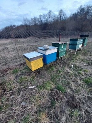 Cutii stupi verticale si orizontale - imagine 4