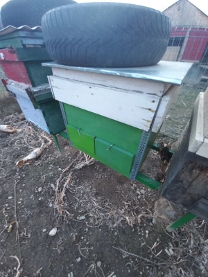 Cutii stupi verticale si orizontale - imagine 2