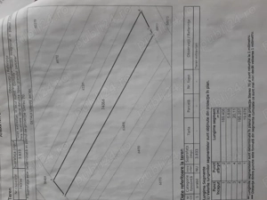 Vand teren 38ari in dealul Ortelecului