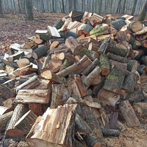Vând lemne  - imagine 5