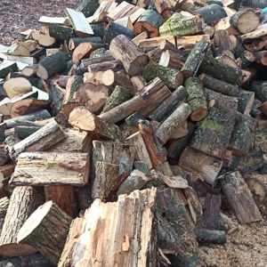 Vând lemne  - imagine 3