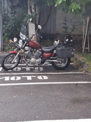 coburi yamaha virago - imagine 3