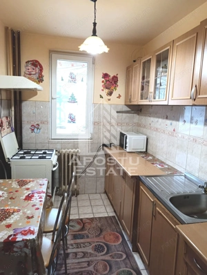 Apartament de vanzare, 2 camere, etaj intermediar, Cetatii, Timisoara - imagine 4