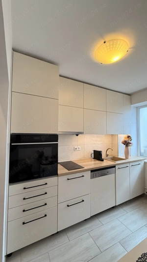 Tâmplar- Parchatar autorizat 