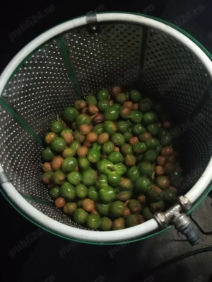 Mașina de curățat nuci