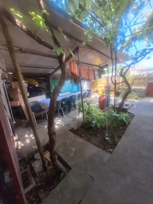 Km. 5 - Viile Noi, casa 4 camere, libera, pe colt - imagine 2