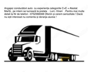 Angajez Sofer CE pe tara 