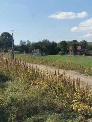 Vând teren extra viral 2800 mp comșești  - imagine 4
