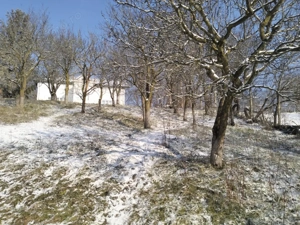 Moșia boierească din vârf de deal, Scorțeni - Prahova, comision 0% - imagine 4