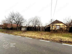 Teren intravilan, pretabil pentru constructie, 2880 mp, comuna Siria - imagine 2