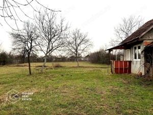 Teren intravilan, pretabil pentru constructie, 2880 mp, comuna Siria - imagine 4