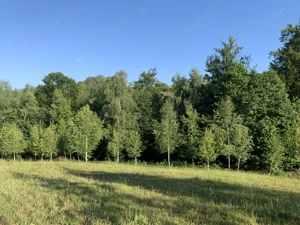 Vand Teren - Poiana Marului, Brasov - imagine 6