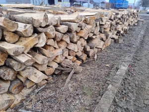 vand lemne de foc carpen cu fag esenta tare 