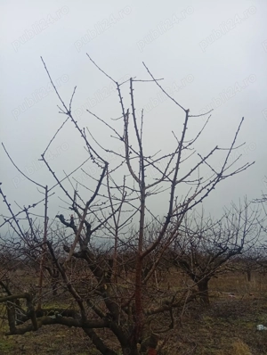 A început curățatul de primăvară