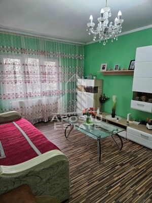 Apartament cu 3 camere,2 bai,semidecomadat,centrala proprie, Girocului - imagine 4