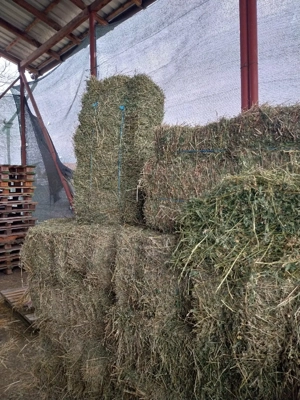 Baloti de fan telina rotunzi si dreptunghiulari lucerna 