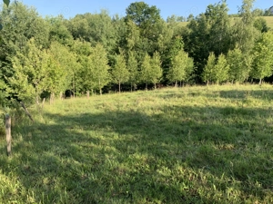 Vand Teren - Poiana Marului, Brasov - imagine 8