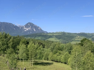 Vand Teren - Poiana Marului, Brasov