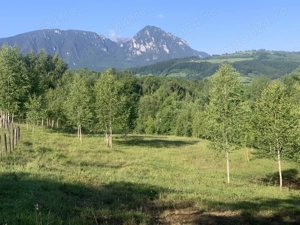 Vand Teren - Poiana Marului, Brasov - imagine 9