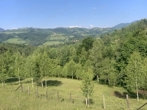 Vand Teren - Poiana Marului, Brasov - imagine 10