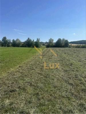 Teren extravilan, Oportunitate de investitii: hala, depozit, agrement - imagine 3